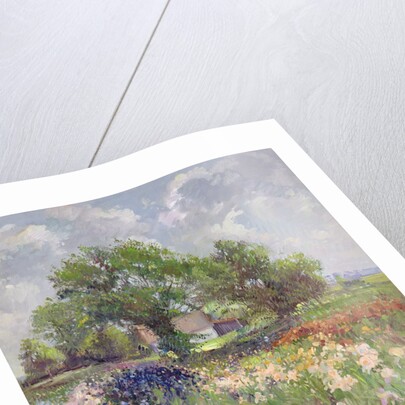 White Barn and Iris Field, 1992 by Timothy Easton