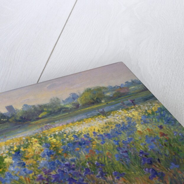 Blue Haze at Burgate, 1993 by Timothy Easton