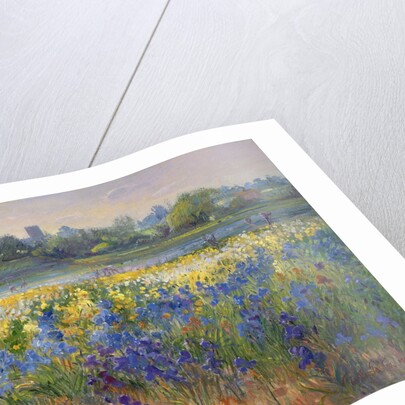 Blue Haze at Burgate, 1993 by Timothy Easton