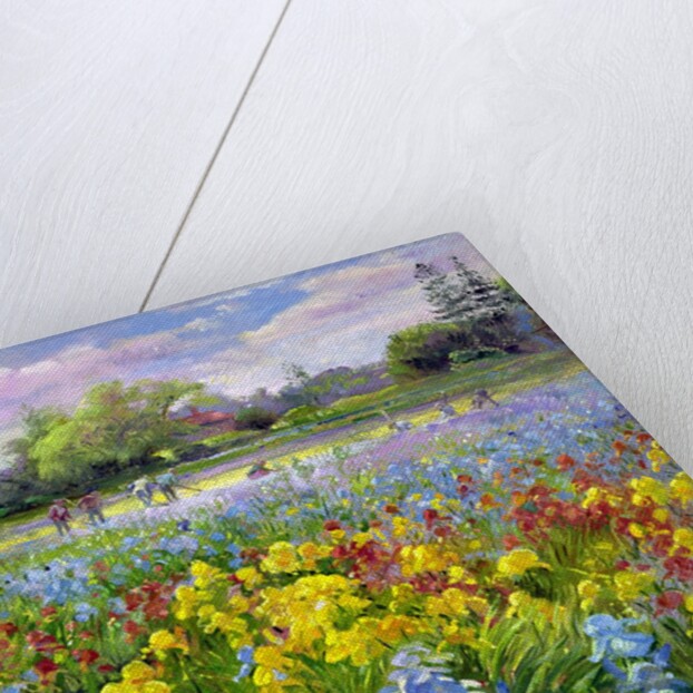 Hoeing Team and Iris Fields, 1993 by Timothy Easton