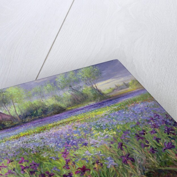 Trackway past the Iris Field, 1991 by Timothy Easton