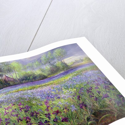 Trackway past the Iris Field, 1991 by Timothy Easton