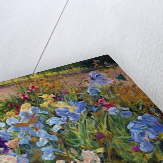 The Iris Bed, 1993 by Timothy Easton