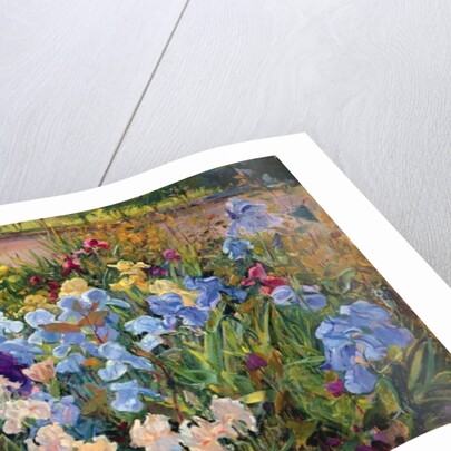 The Iris Bed, 1993 by Timothy Easton