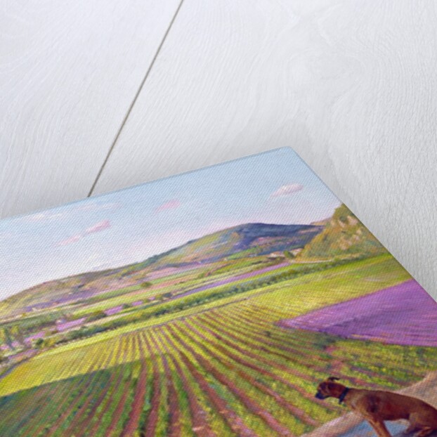 Watching from the Walls, Old Provence, 1993 by Timothy Easton