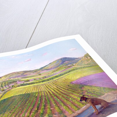 Watching from the Walls, Old Provence, 1993 by Timothy Easton