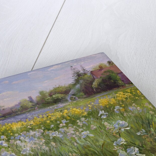 Bonfire and Iris Field, 1993 by Timothy Easton