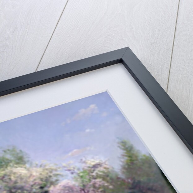 Irises in the Formal Gardens, 1993 by Timothy Easton