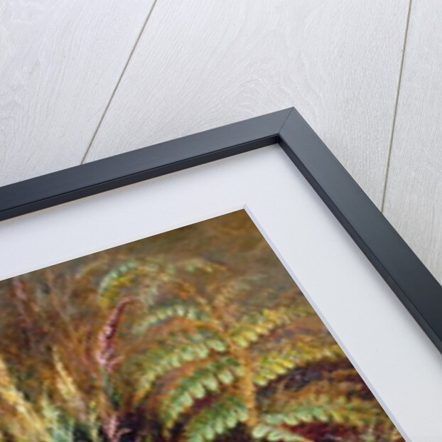 Bell Heather, 1877 by Albert Durer Lucas