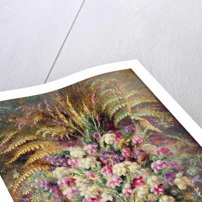 Bell Heather, 1877 by Albert Durer Lucas