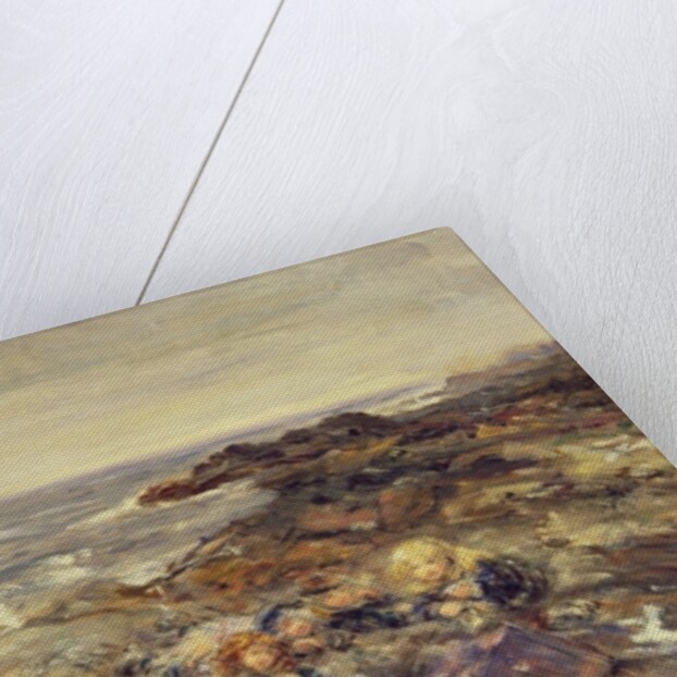 Flotsam and Jetsam by William McTaggart