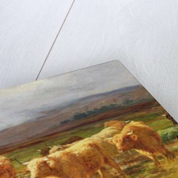 Moorlands and Mist by Duncan McLaurin