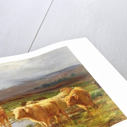 Moorlands and Mist by Duncan McLaurin