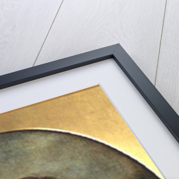 Robert Burns by Alexander Nasmyth