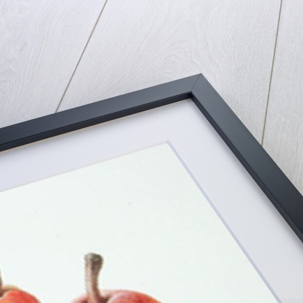 Red Pears, 1996 by Margaret Ann Eden