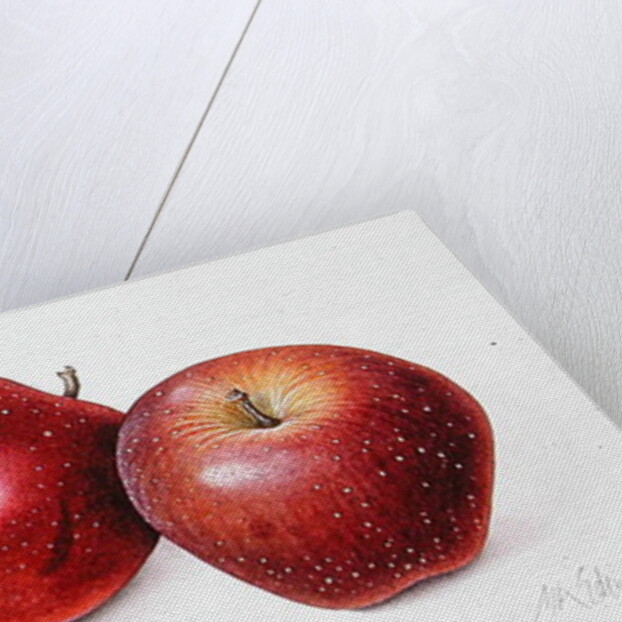 Red Apples, 1996 by Margaret Ann Eden