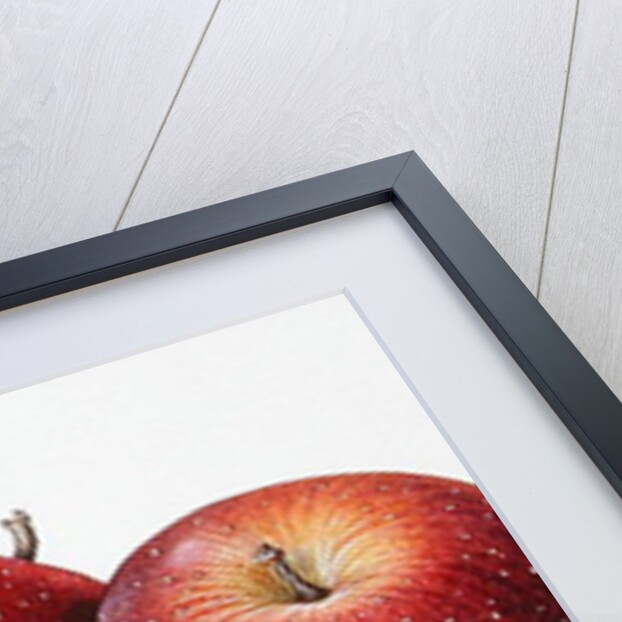 Red Apples, 1996 by Margaret Ann Eden