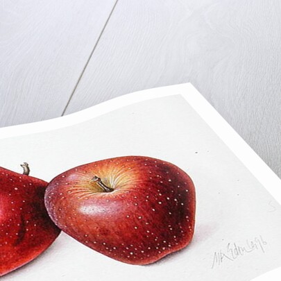 Red Apples, 1996 by Margaret Ann Eden