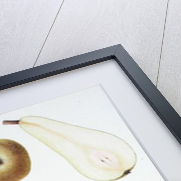 Six Pears, 1994 by Margaret Ann Eden