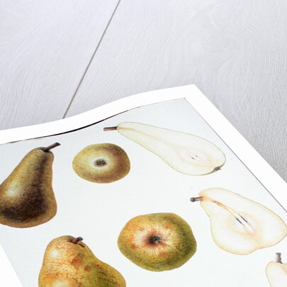 Six Pears, 1994 by Margaret Ann Eden