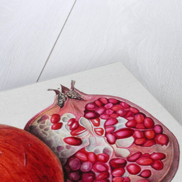 Pomegranate, 1995 by Margaret Ann Eden