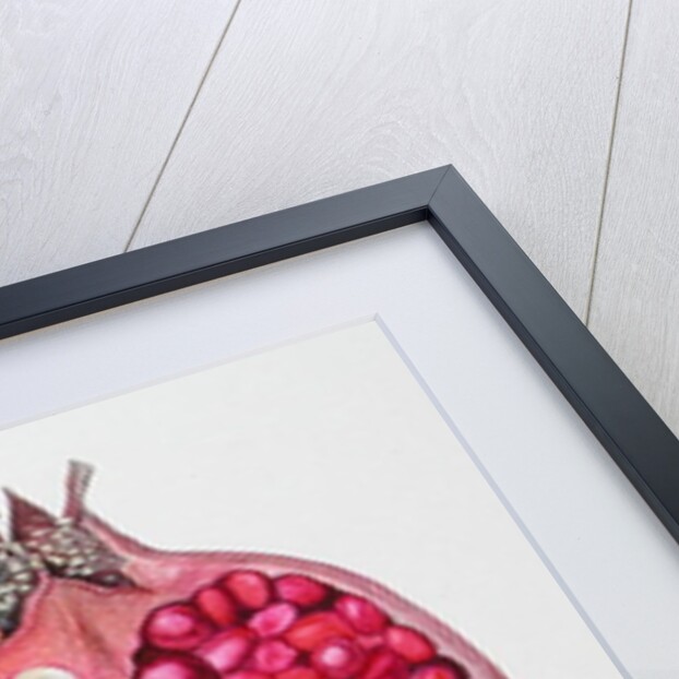 Pomegranate, 1995 by Margaret Ann Eden