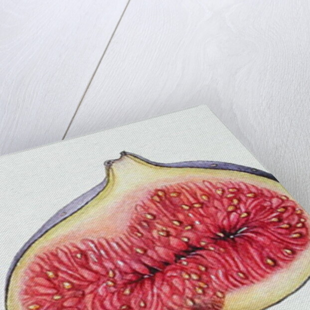 Figs, 1995 by Margaret Ann Eden