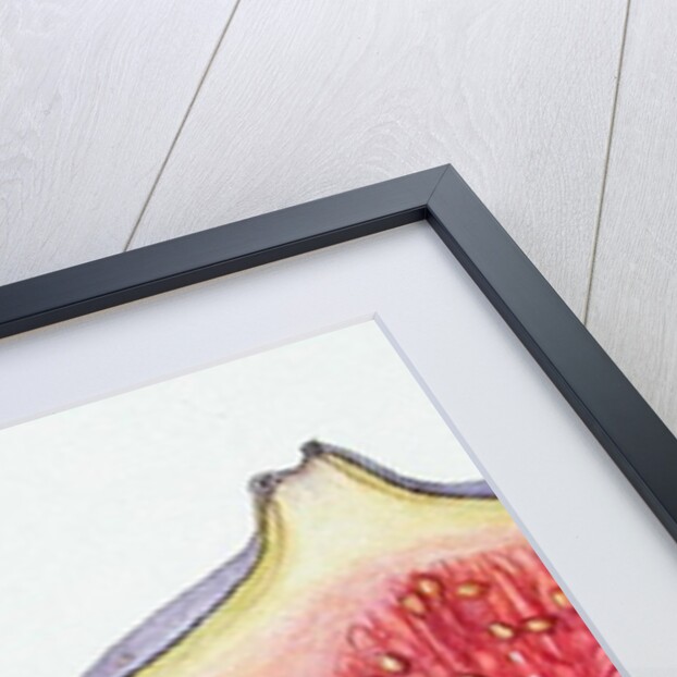 Figs, 1995 by Margaret Ann Eden