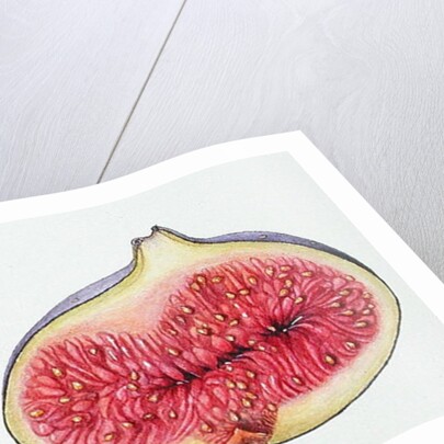 Figs, 1995 by Margaret Ann Eden