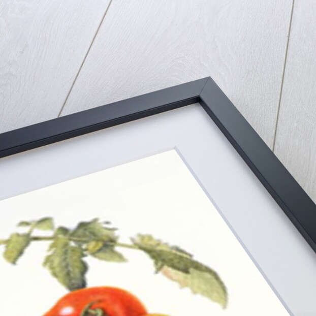 Tomatoes, 1994 by Margaret Ann Eden