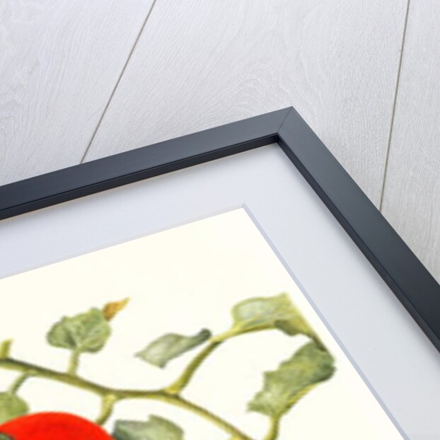 Tomatoes, 1994 by Margaret Ann Eden