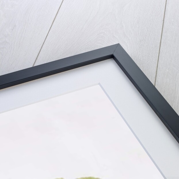 Bramley Apple, 1995 by Margaret Ann Eden