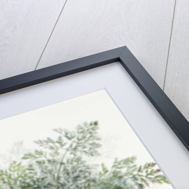 Carrots, 1995 by Margaret Ann Eden