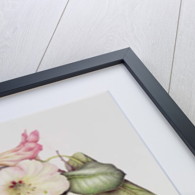 Rhododendron by Margaret Ann Eden