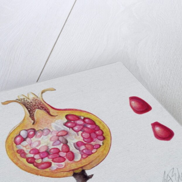 Cut Pomegranate by Margaret Ann Eden