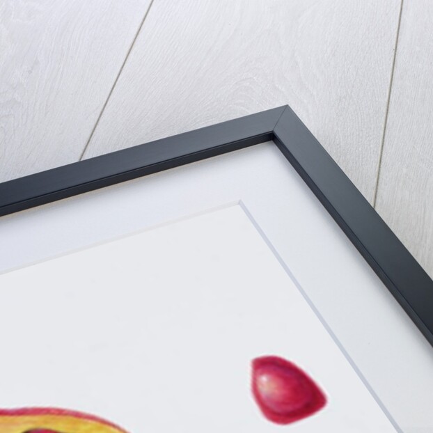 Cut Pomegranate by Margaret Ann Eden