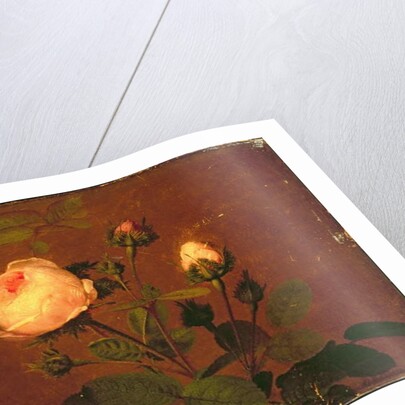 Roses, Roses by Otto Didrik Ottesen