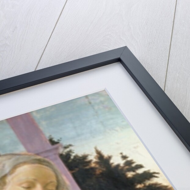 Madonna and Child with Angels by Filippino Lippi