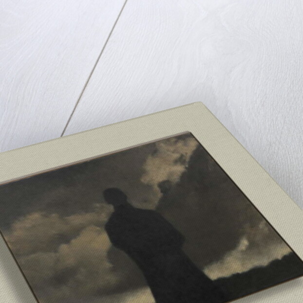 In The Half Light by Anne Magill