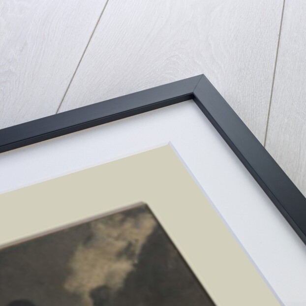 In The Half Light by Anne Magill