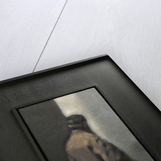 In The Wings by Anne Magill