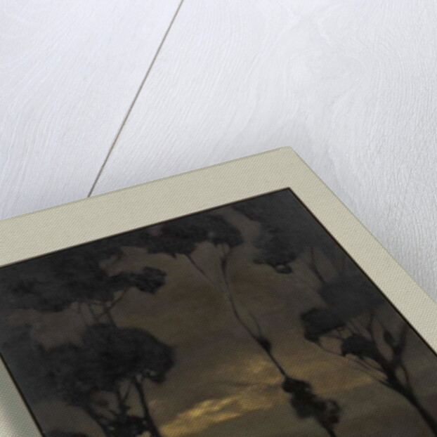 Nearly Hour by Anne Magill