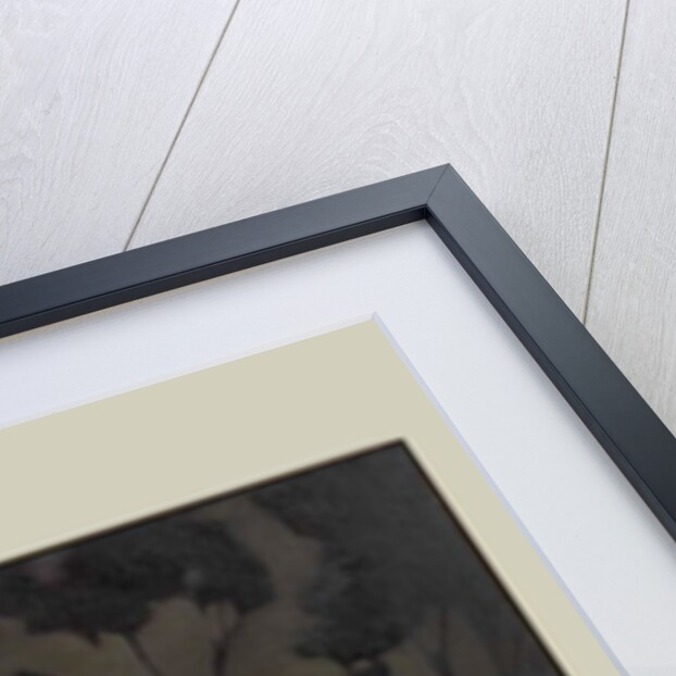 Nearly Hour by Anne Magill