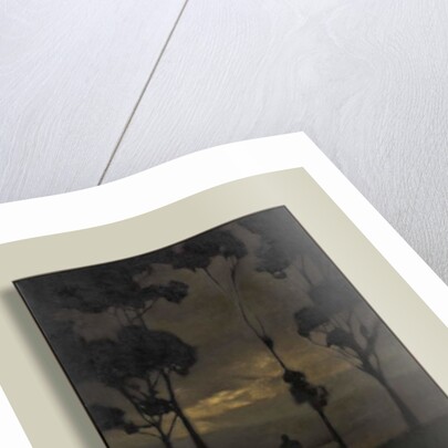 Nearly Hour by Anne Magill