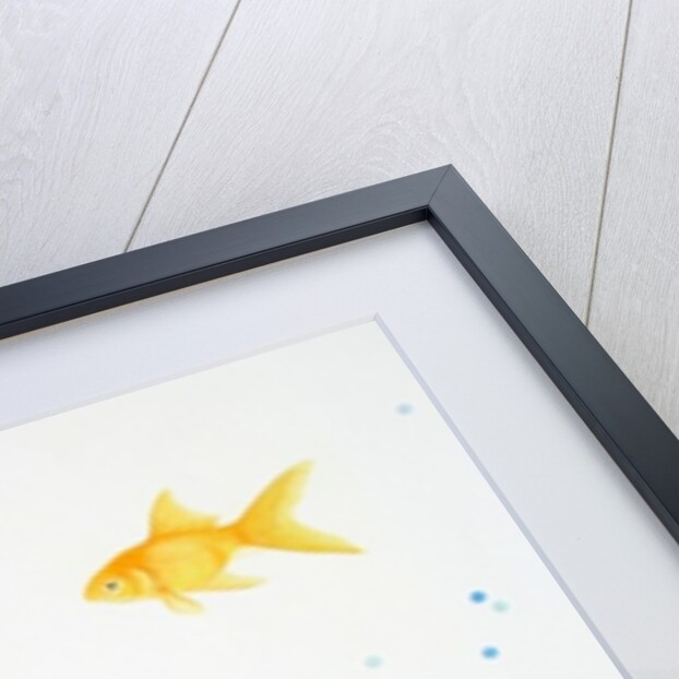 Fish Composition, 2015 by Eleanor Grafton