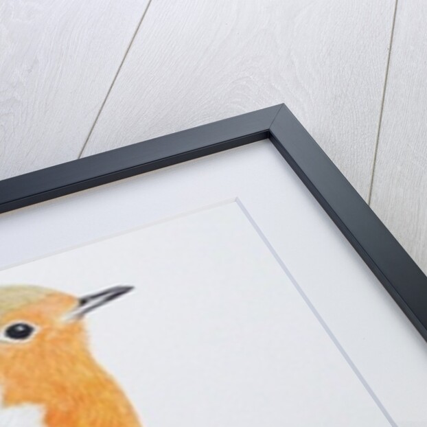 Robin, 2011 by Eleanor Grafton