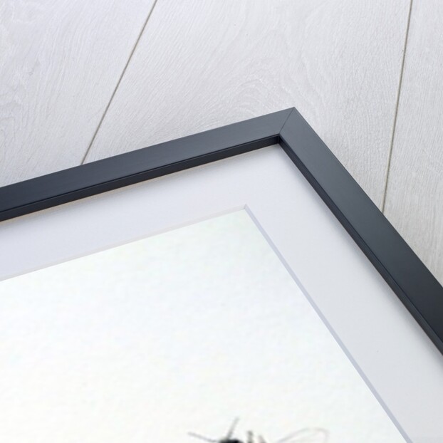 Three Bees, 2012 by Eleanor Grafton