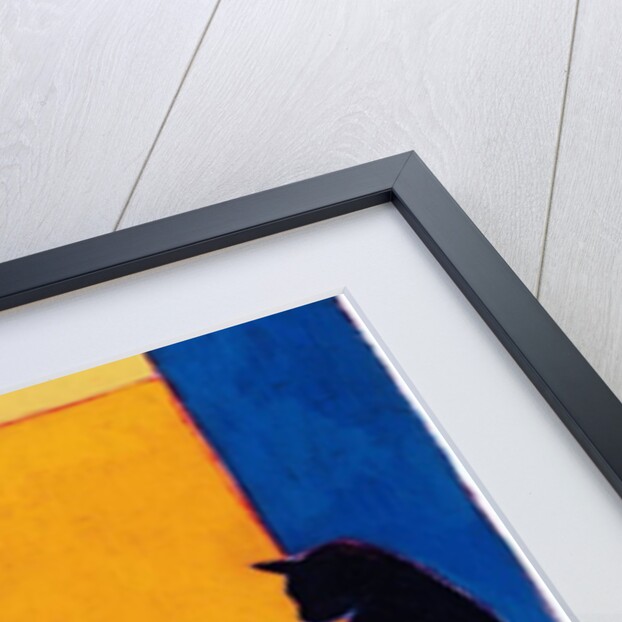 Still Life with Boris, 2002 by Eithne Donne