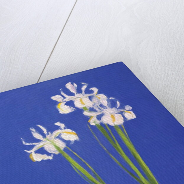 Dutch White Exelsior, 2000 by John Miller