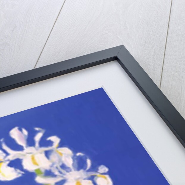 Dutch White Exelsior, 2000 by John Miller